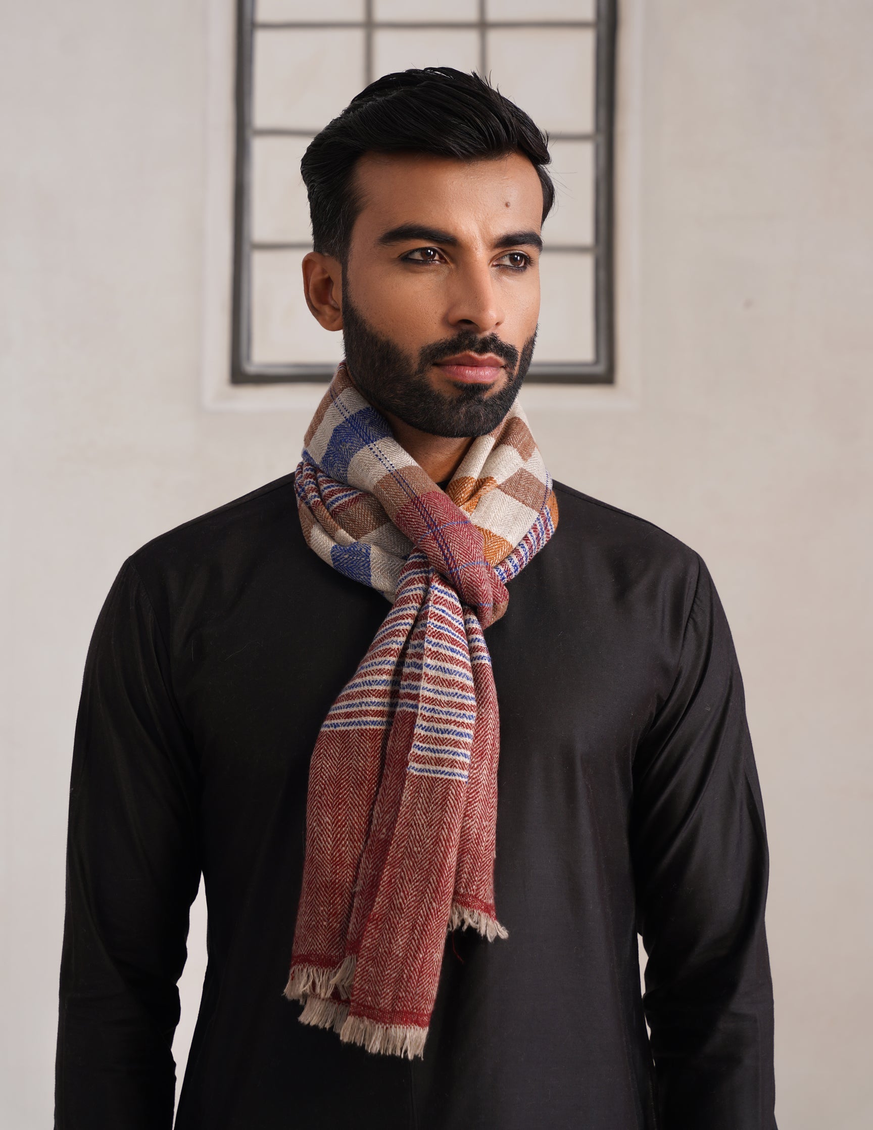 GI Striped Pashmina Muffler – Multicolour