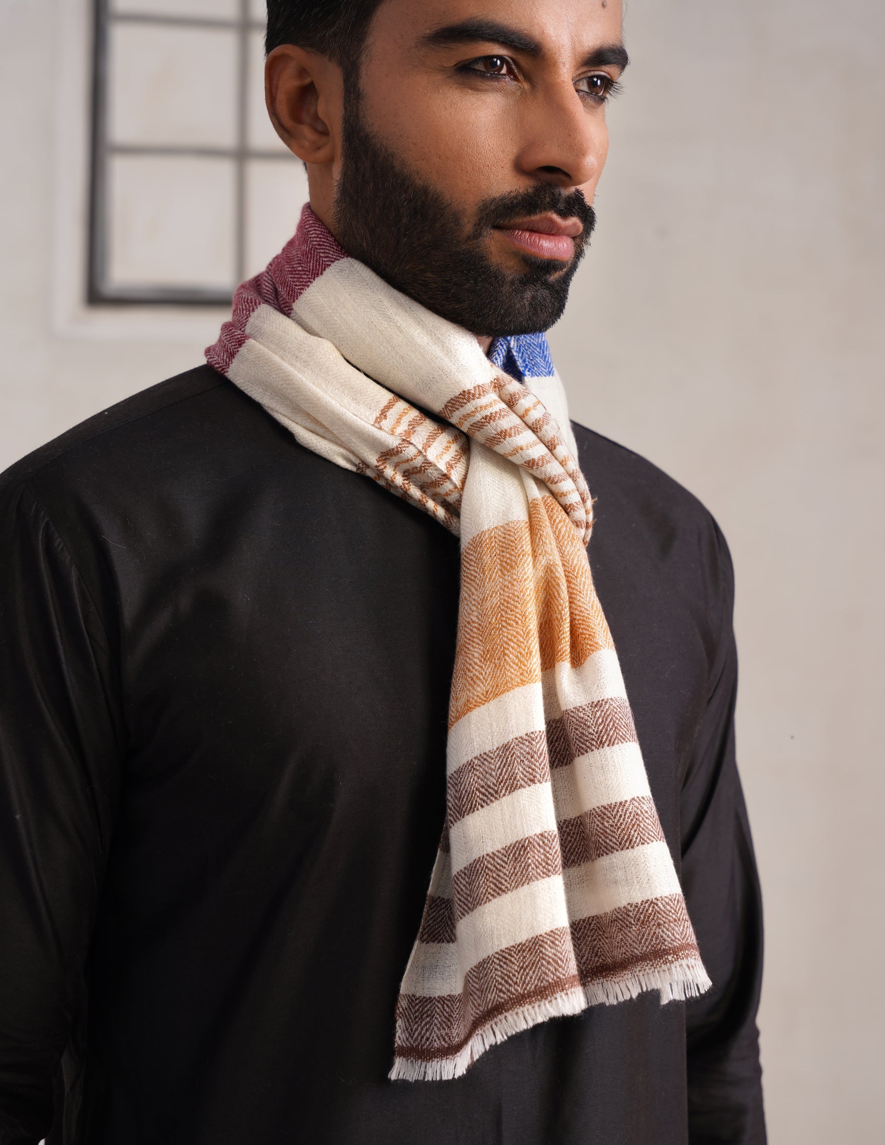 GI Striped Pashmina Muffler – Multicolour