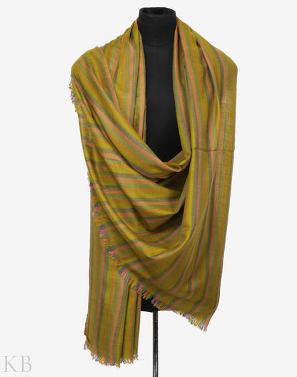 Green Hued Stripped Pashmina Shawl - KashmirBox.com