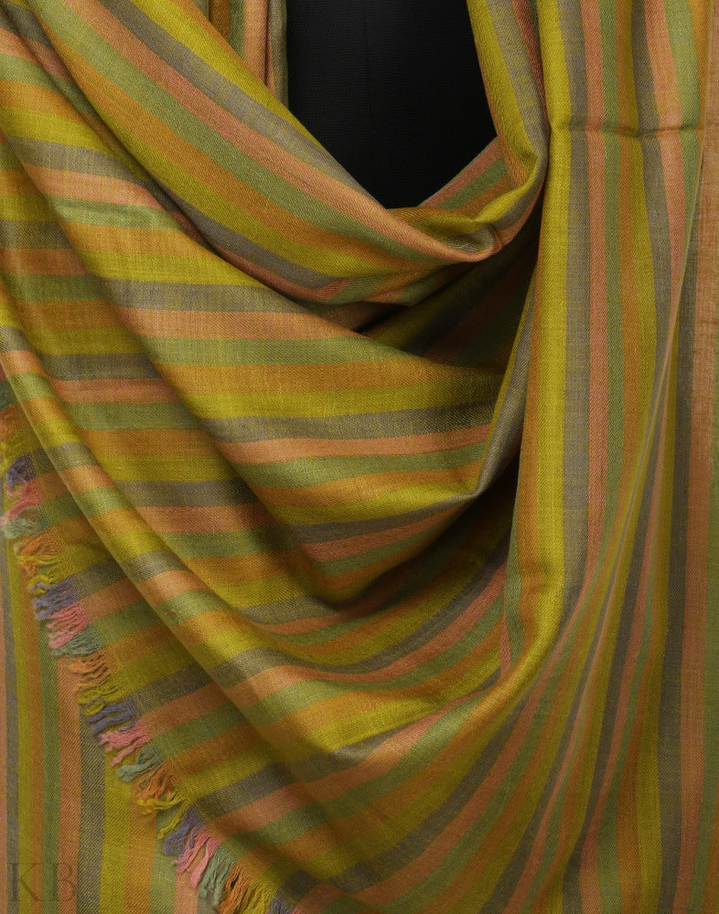 Green Hued Stripped Pashmina Shawl - KashmirBox.com