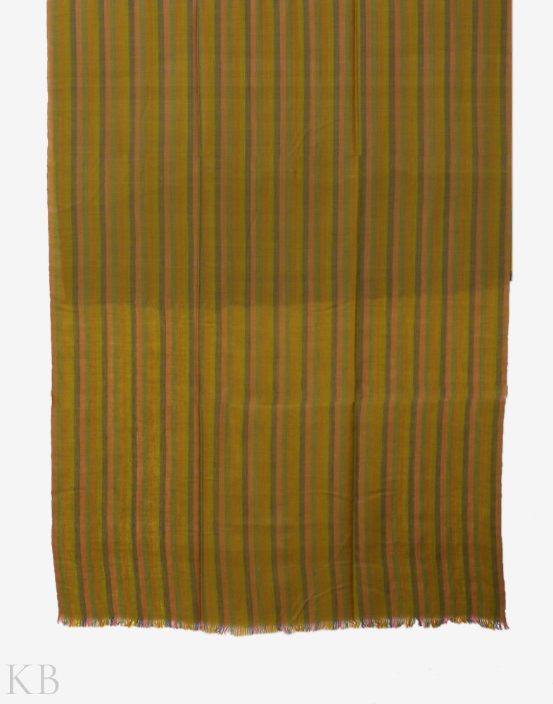 Green Hued Stripped Pashmina Shawl - KashmirBox.com