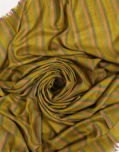 Green Hued Stripped Pashmina Shawl - KashmirBox.com