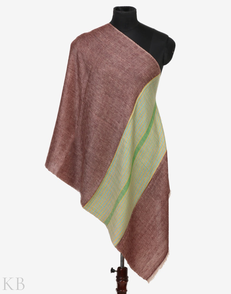 Multicolored Stripped Pashmina Stole - KashmirBox.com