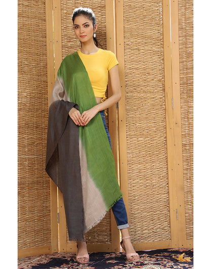 Multicolor Ombre Cashmere Stole - KashmirBox.com