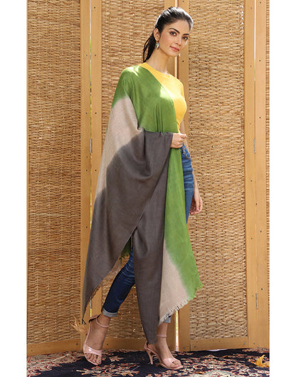 Multicolor Ombre Cashmere Stole - KashmirBox.com