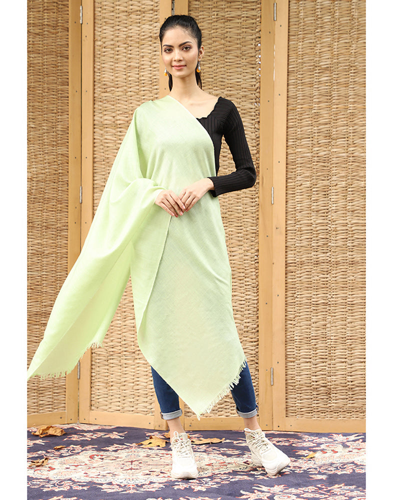 Pastel Green Solid Cashmere Stole - KashmirBox.com