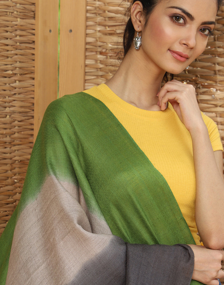 Multicolor Ombre Cashmere Stole - KashmirBox.com