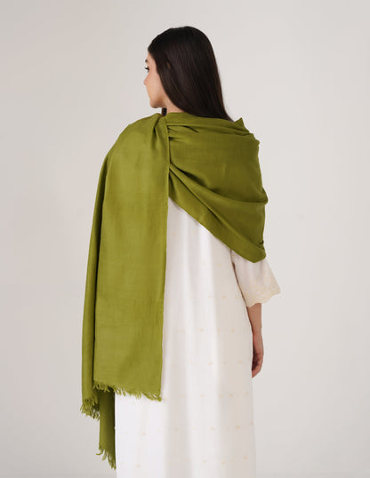 Kashmiri Handwoven Pashmina Reversible Stole – Olive Green &amp; White Asparagus | Handwoven Heritage