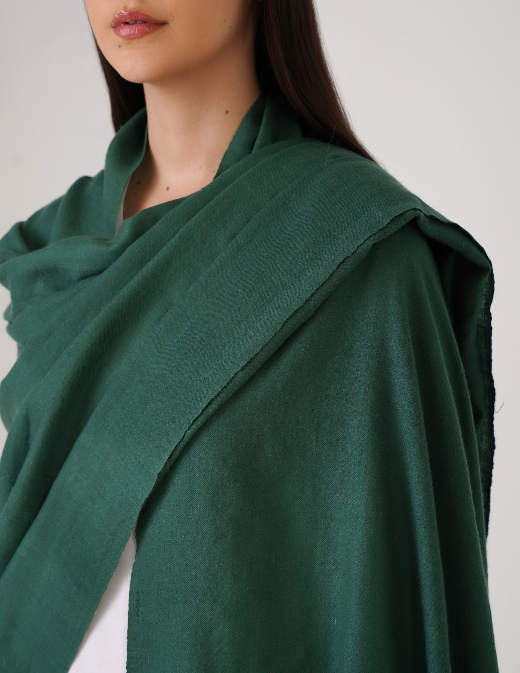 Kashmiri Handwoven Solid Cashmere Pashmina Shawl – Posy Green | Handwoven Heritage