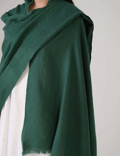 Kashmiri Handwoven Solid Cashmere Pashmina Shawl – Posy Green | Handwoven Heritage
