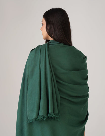 Kashmiri Handwoven Solid Cashmere Pashmina Shawl – Posy Green | Handwoven Heritage
