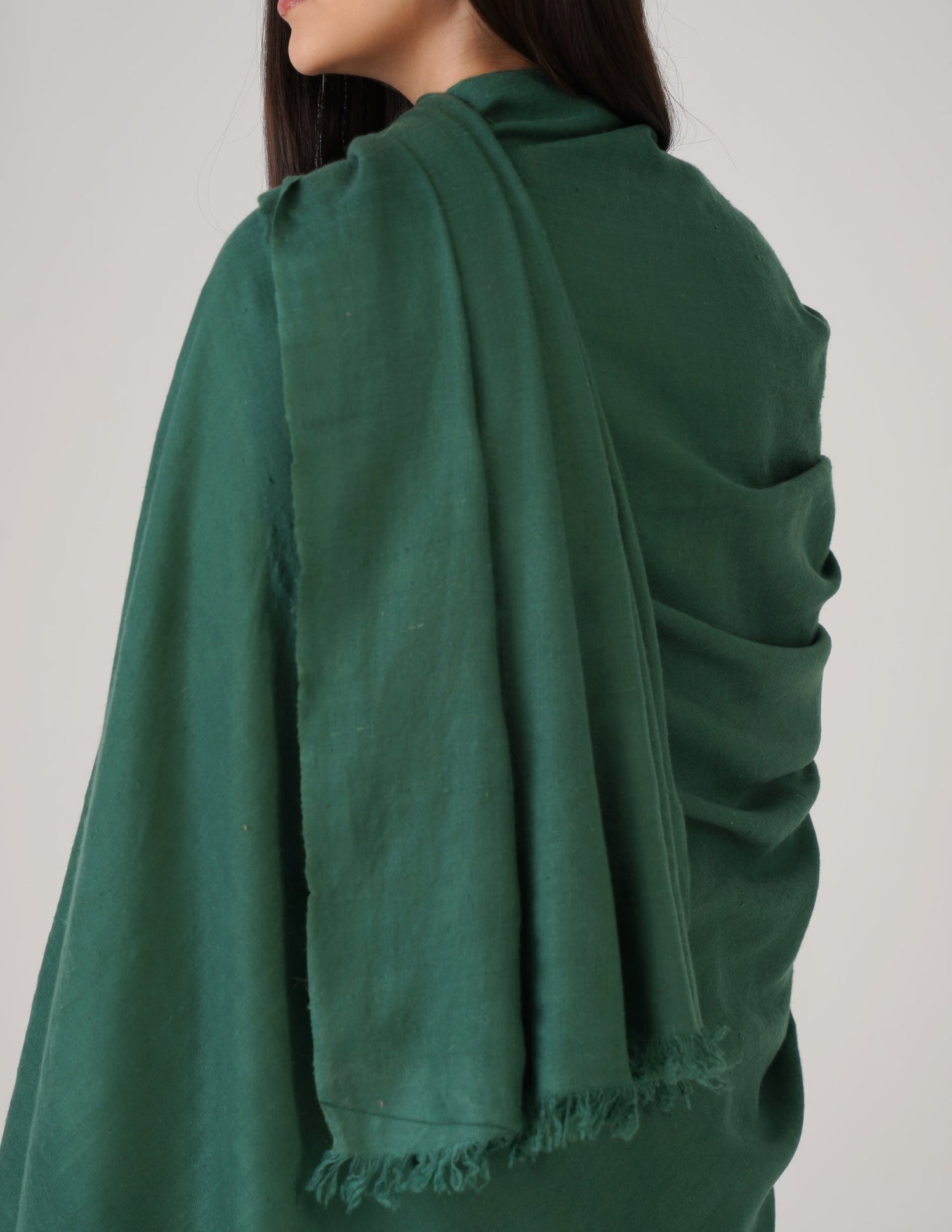 Kashmiri Handwoven Solid Cashmere Pashmina Shawl – Posy Green | Handwoven Heritage