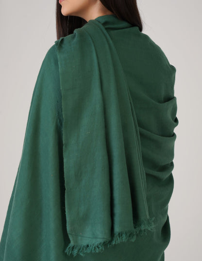 Kashmiri Handwoven Solid Cashmere Pashmina Shawl – Posy Green | Handwoven Heritage