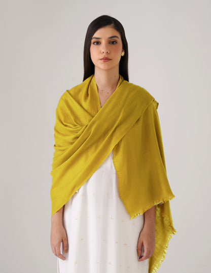 Kashmiri Handwoven Solid Cashmere Pashmina Shawl – Mustard Olive | Handwoven Heritage