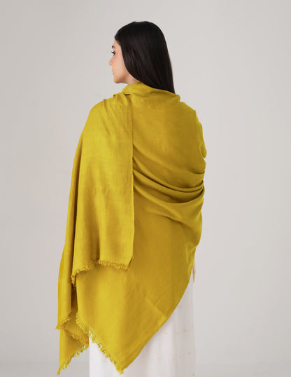 Kashmiri Handwoven Solid Cashmere Pashmina Shawl – Mustard Olive | Handwoven Heritage