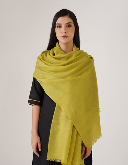 Kashmiri Handwoven Solid Cashmere Pashmina Shawl – Apple Green | Handwoven Heritage