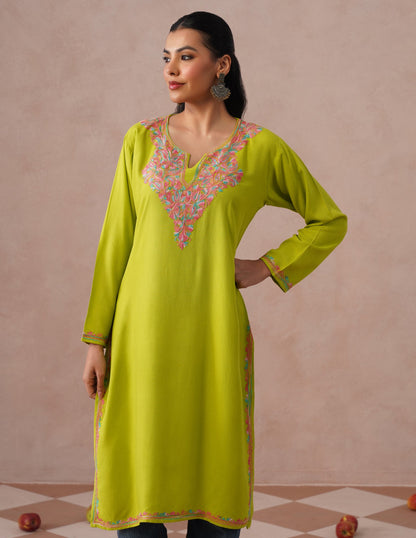 Parrot Green Rayon Kurti – Vibrant Multicolor Aari | Casual Ethnic Wear - Kashmir Box