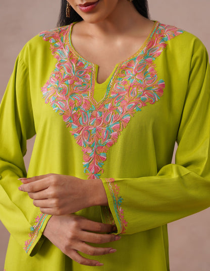 Parrot Green Rayon Kurti – Vibrant Multicolor Aari | Casual Ethnic Wear - Kashmir Box