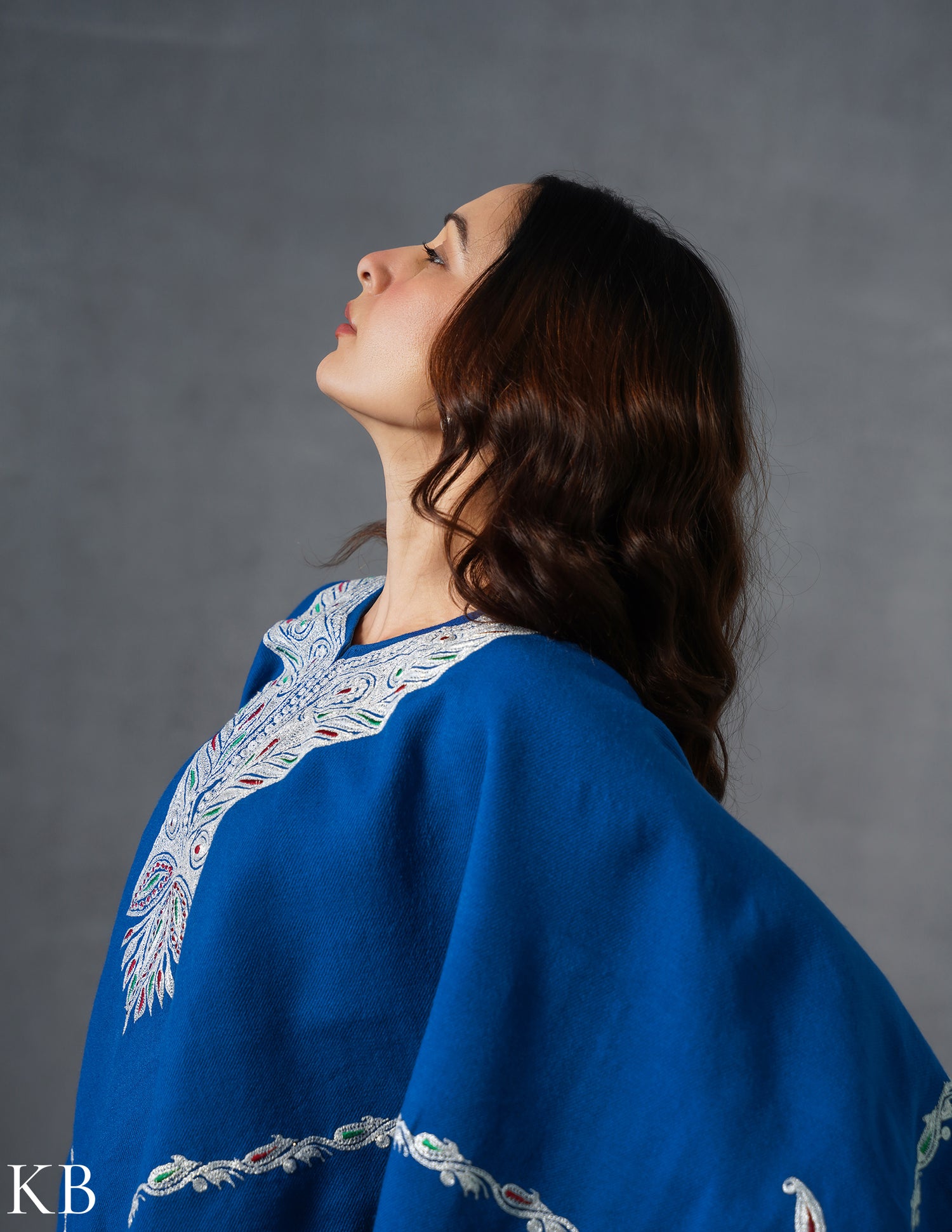 Kashmiri Silver Boti Tilla Embroidered Woollen Poncho – Blue | Handcrafted Heritage