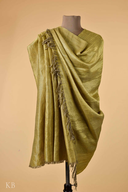 Olive Pear Green Reversible Pashmina Shawl - Kashmir Box