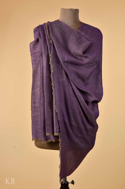 Purple Golden Reversible Pashmina Shawl - Kashmir Box