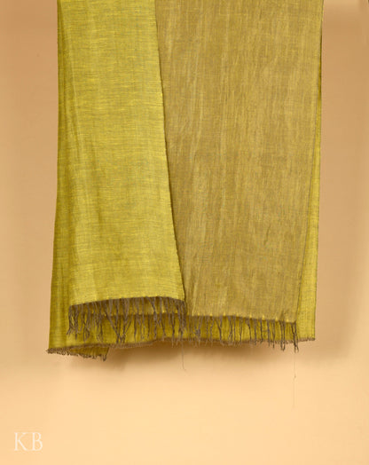 Olive Pear Green Reversible Pashmina Shawl - Kashmir Box