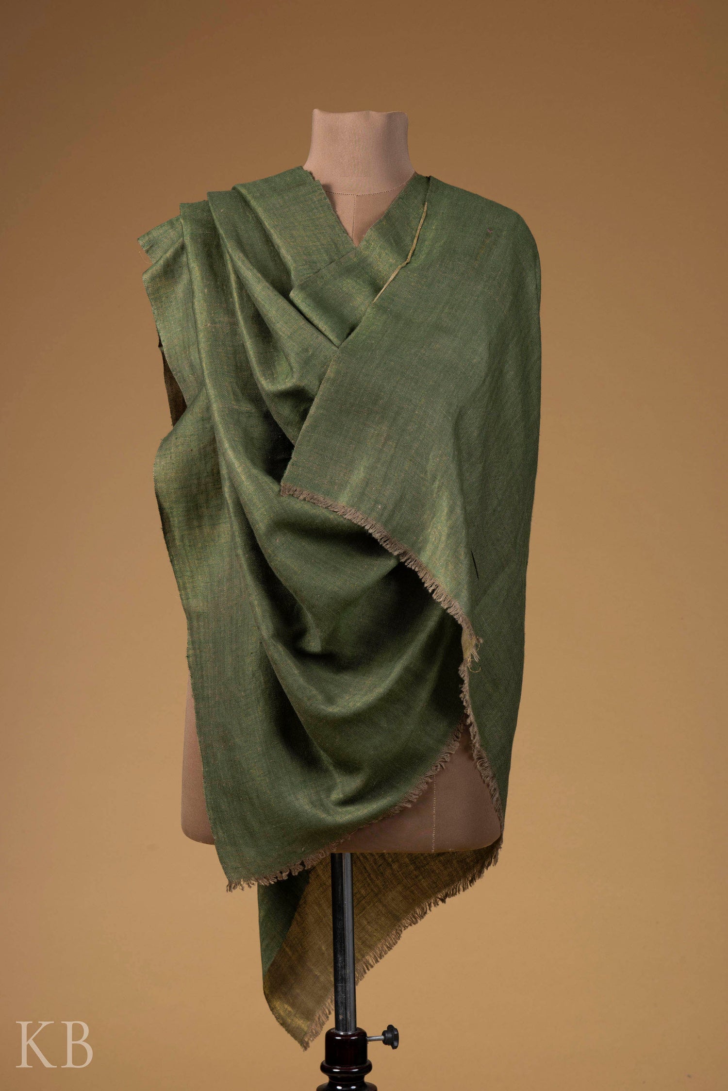 Olive Golden Reversible Pashmina Shawl - Kashmir Box