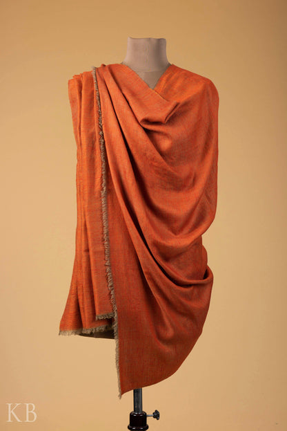 Orange Butterscotch Reversible Pashmina Shawl - Kashmir Box