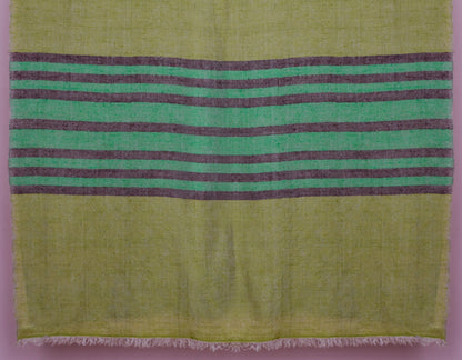 Green Handwoven One side Stripes Cashmere Pashmina Stole - Kashmir Box