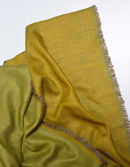 Dual Green Handwoven Reversible Cashmere Pashmina Shawl