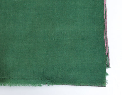 Fern Green Handwoven Sozni Jaali Embroidered Cashmere Pashmina Shawl