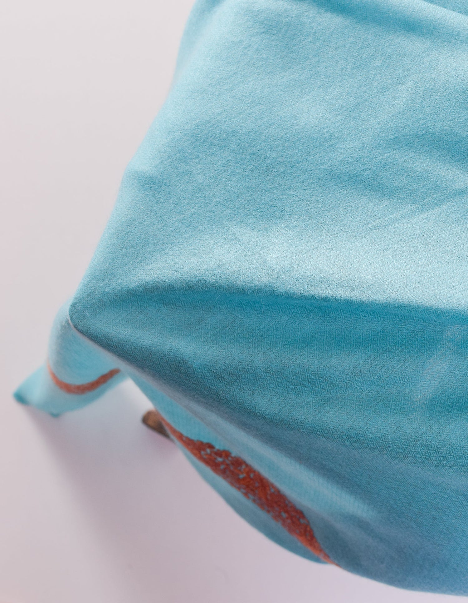 Aqua Blue Handwoven Border Embroidered Cashmere Pashmina Shawl - Kashmir Box