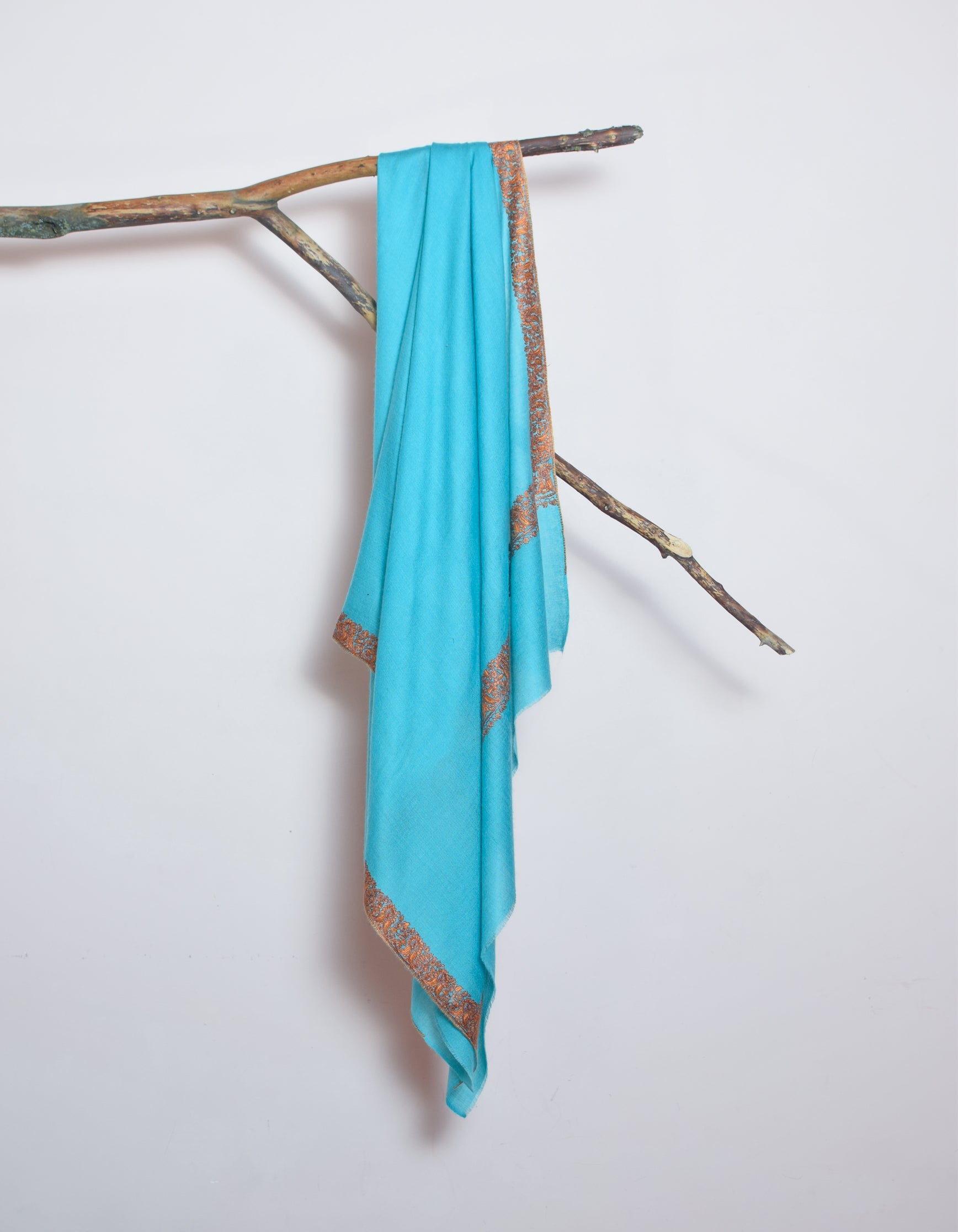 Aqua Blue Handwoven Border Embroidered Cashmere Pashmina Shawl