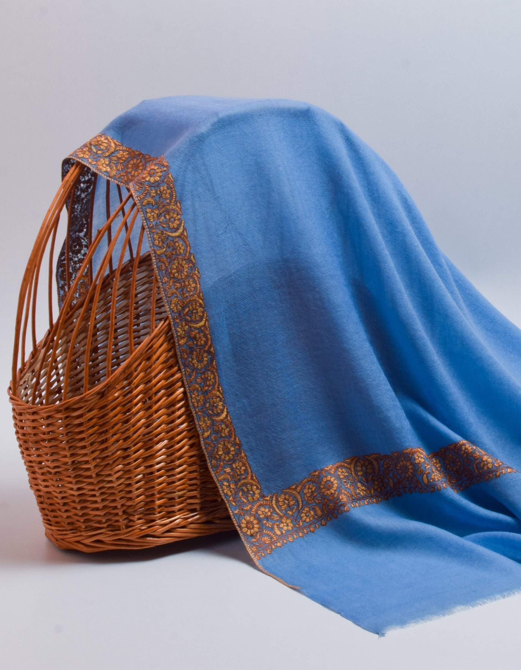 Carolina Blue Handwoven Border Embroidered Cashmere Pashmina Shawl