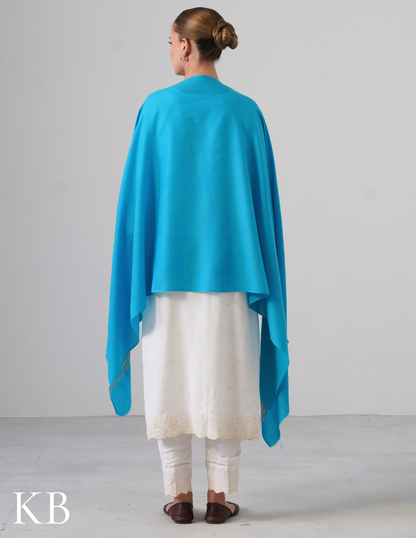Sky Blue Woollen Stole with Butter Cream Aari Embroidery | Calm Winter Layer - Kashmir Box