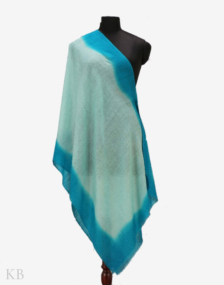 Cerulean Sky Blue Pure Pashmina Stole - KashmirBox.com