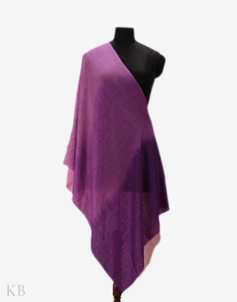 Floral Hues Pure Pashmina Stole - KashmirBox.com