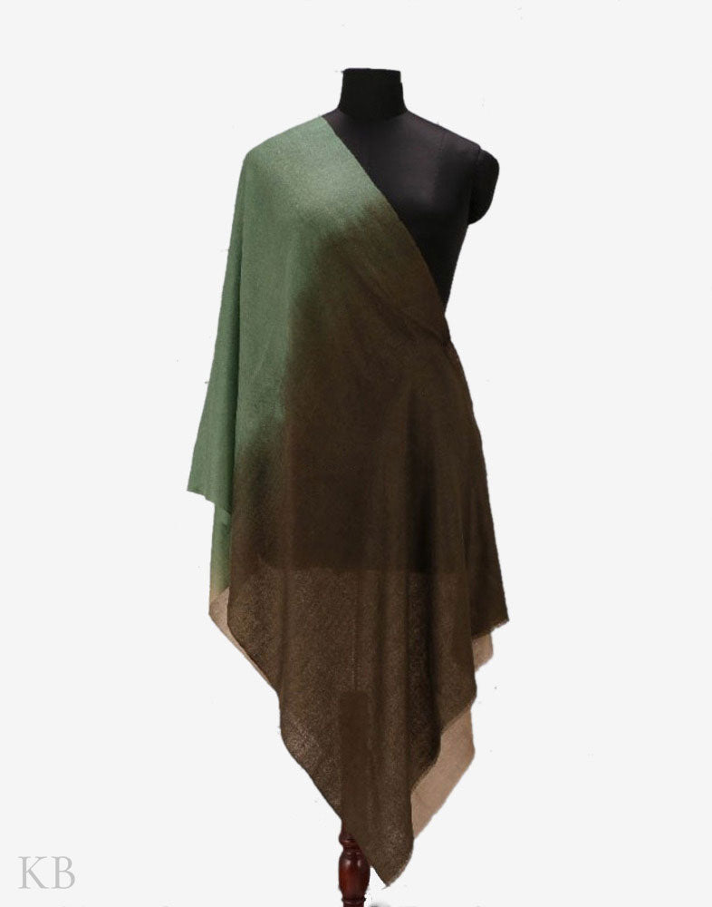 Basil Wood Pure Pashmina Stole - KashmirBox.com