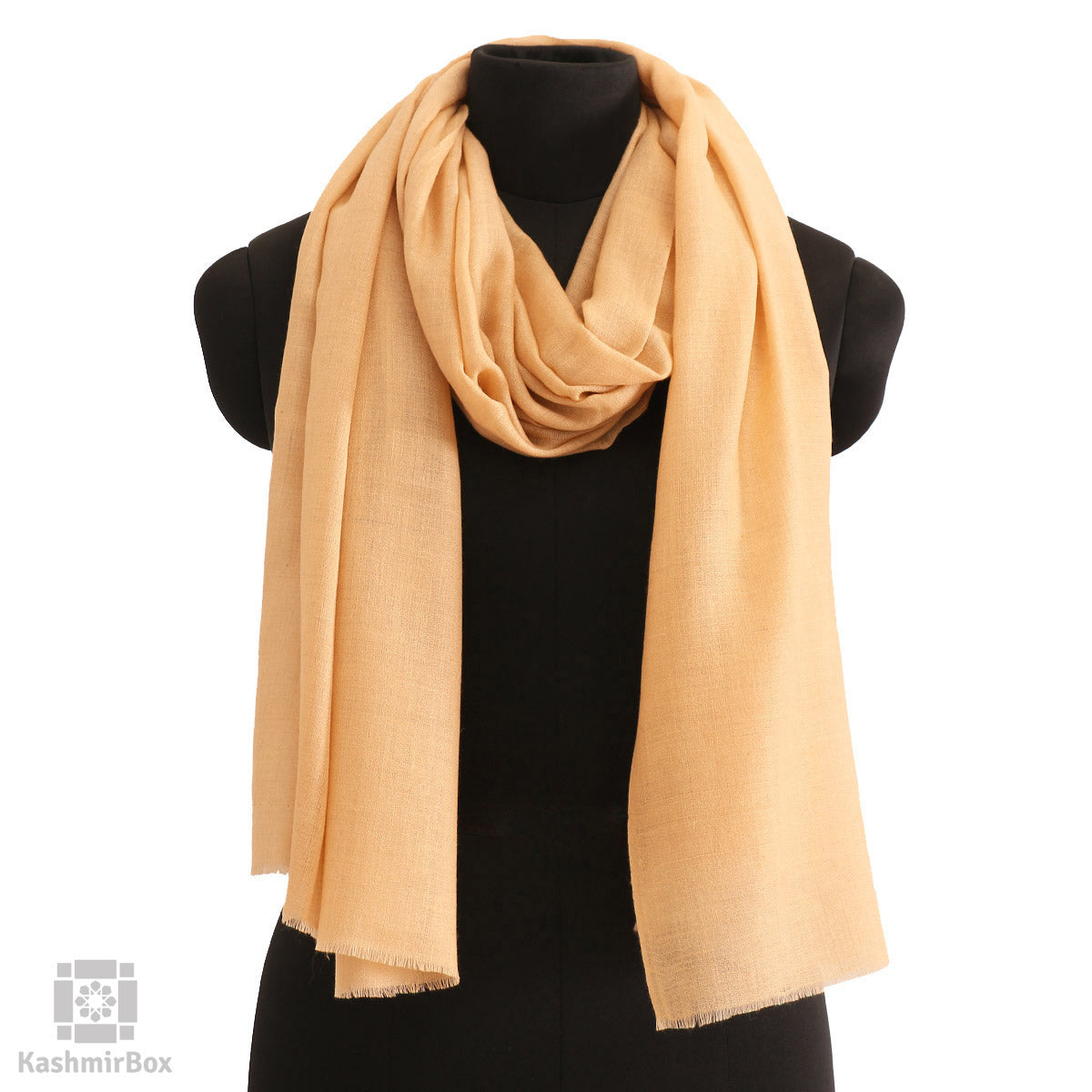 Sepia Cashmere Pashmina Stole - KashmirBox.com