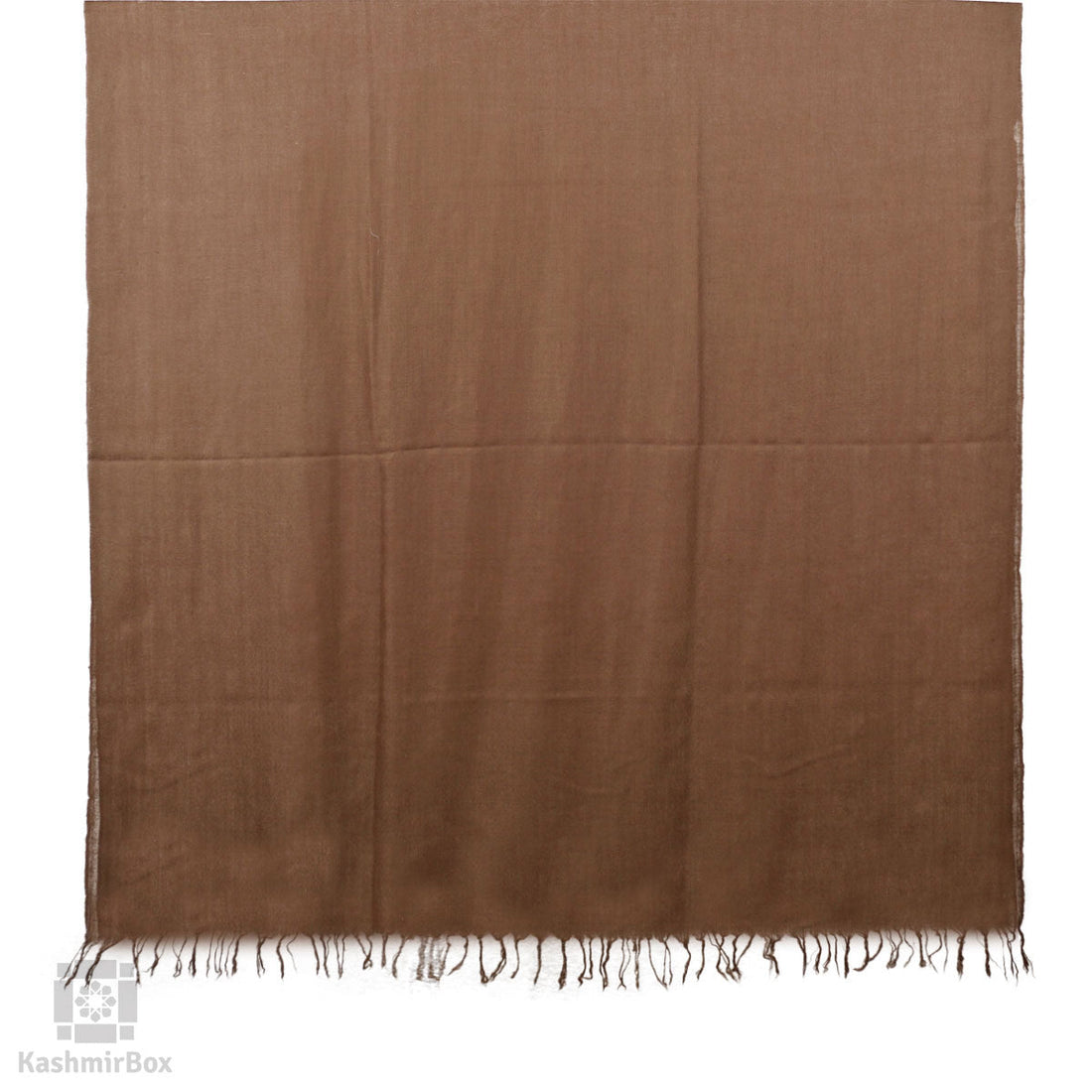 Tawny Brown Solid Pashmina Shawl - Kashmir Box