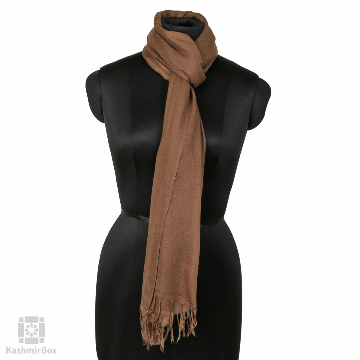 Tawny Brown Solid Pashmina Shawl - Kashmir Box