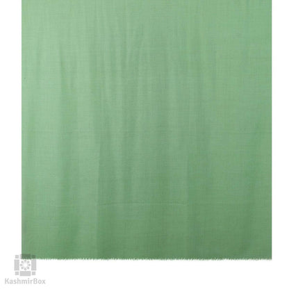 Seafoam Green Solid Cashmere Pashmina Shawl - Kashmir Box