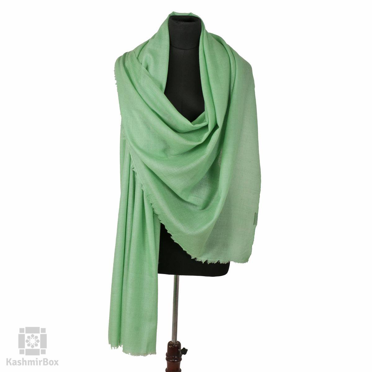 Seafoam Green Solid Cashmere Pashmina Shawl - Kashmir Box