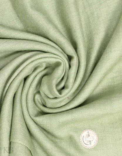 GI Certified Green Solid Cashmere Pashmina Stole - Kashmir Box