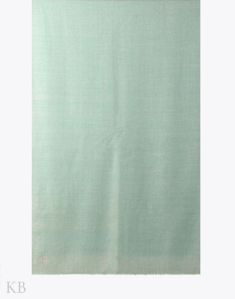 GI Certified Mint Green Solid Cashmere Pashmina Stole - Kashmir Box