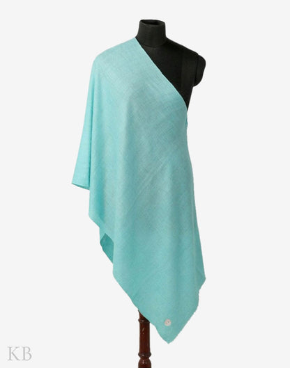 GI Certified Arctic Blue Solid Cashmere Pashmina Stole - Kashmir Box