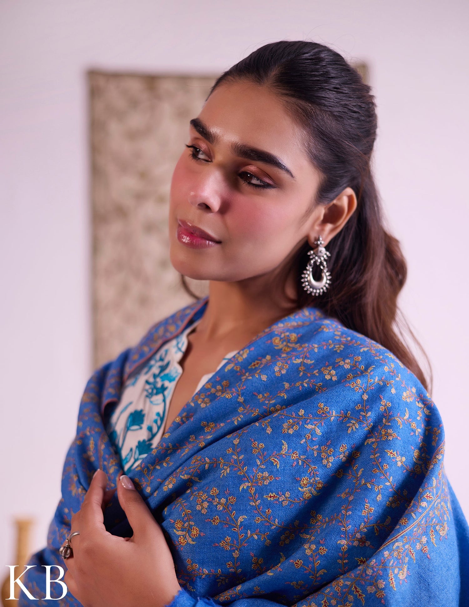 Kashmiri Handwoven Pashmina Jaali Sozni Shawl – Sky Blue | Handwoven Heritage