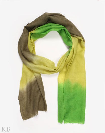 Natural Shades Dip Dye Cashmere Pashmina Scarf - Kashmir Box