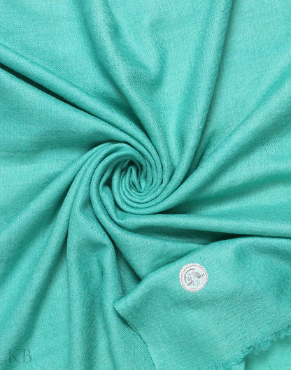 GI Certified Green Solid Cashmere Pashmina Stole - Kashmir Box