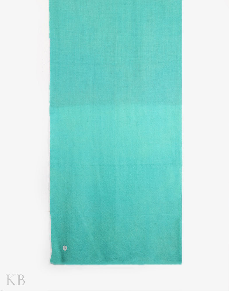 GI Certified Green Solid Cashmere Pashmina Stole - Kashmir Box